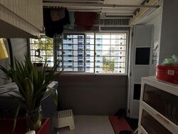 Blk 325 Ang Mo Kio 31 (Ang Mo Kio), HDB 4 Rooms #476429011